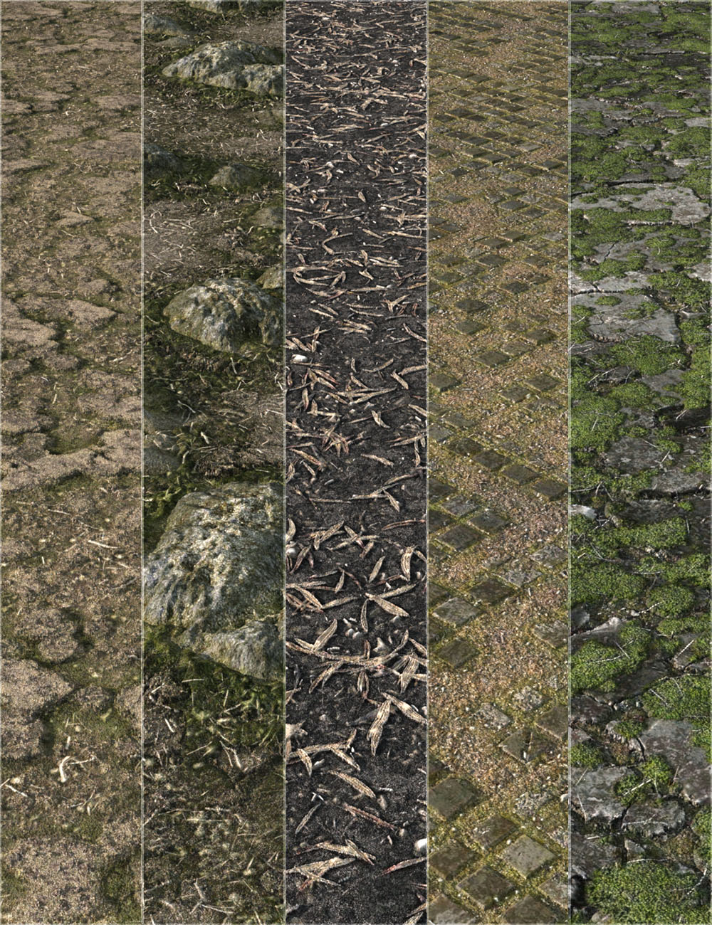 Ground Textures 3 by: vikike176, 3D Models by Daz 3D