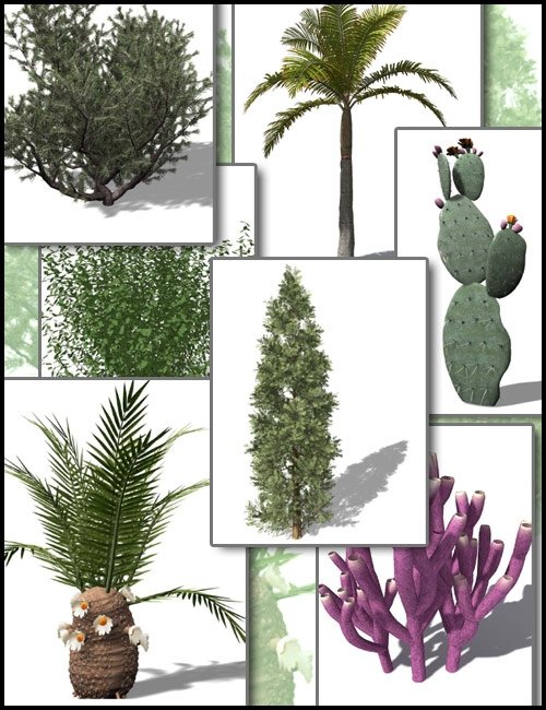 Xfrog Plant Sampler 3 by: , 3D Models by Daz 3D