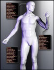 Parameters Organizer by: , 3D Models by Daz 3D