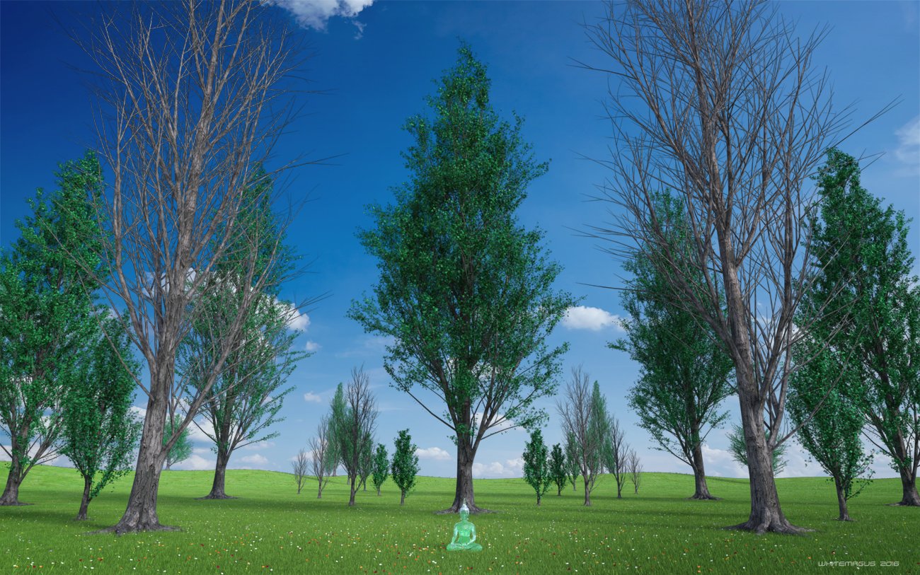 Poplar Trees Collection by: Whitemagus, 3D Models by Daz 3D