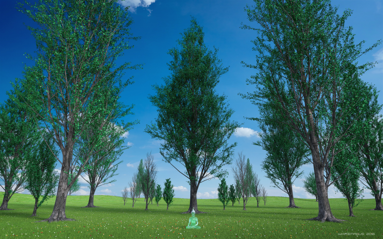Poplar Trees Collection Poplar Trees Collection by: Whitemagus, 3D Models by Daz 3D
