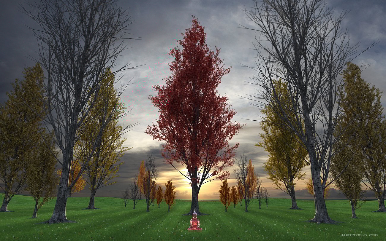 Poplar Trees Collection Poplar Trees Collection by: Whitemagus, 3D Models by Daz 3D