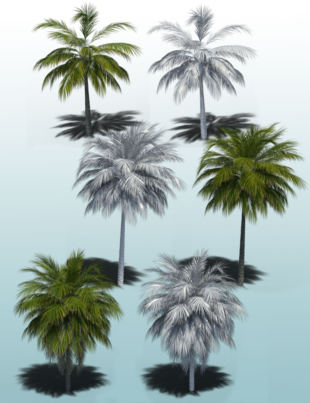  Tropical Palm Trees for Daz Studio by: MartinJFrost, 3D Models by Daz 3D