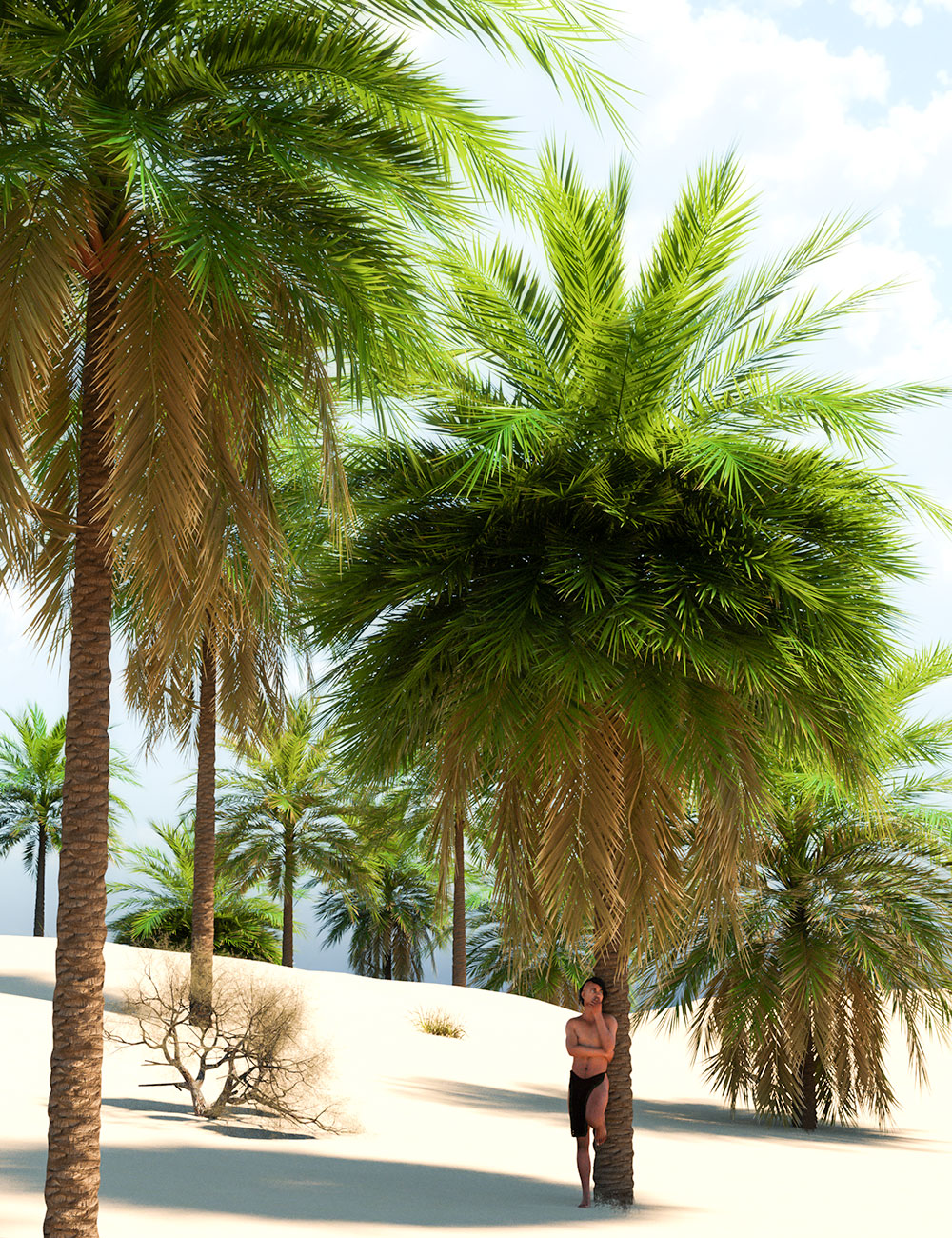  Tropical Palm Trees for Daz Studio by: MartinJFrost, 3D Models by Daz 3D