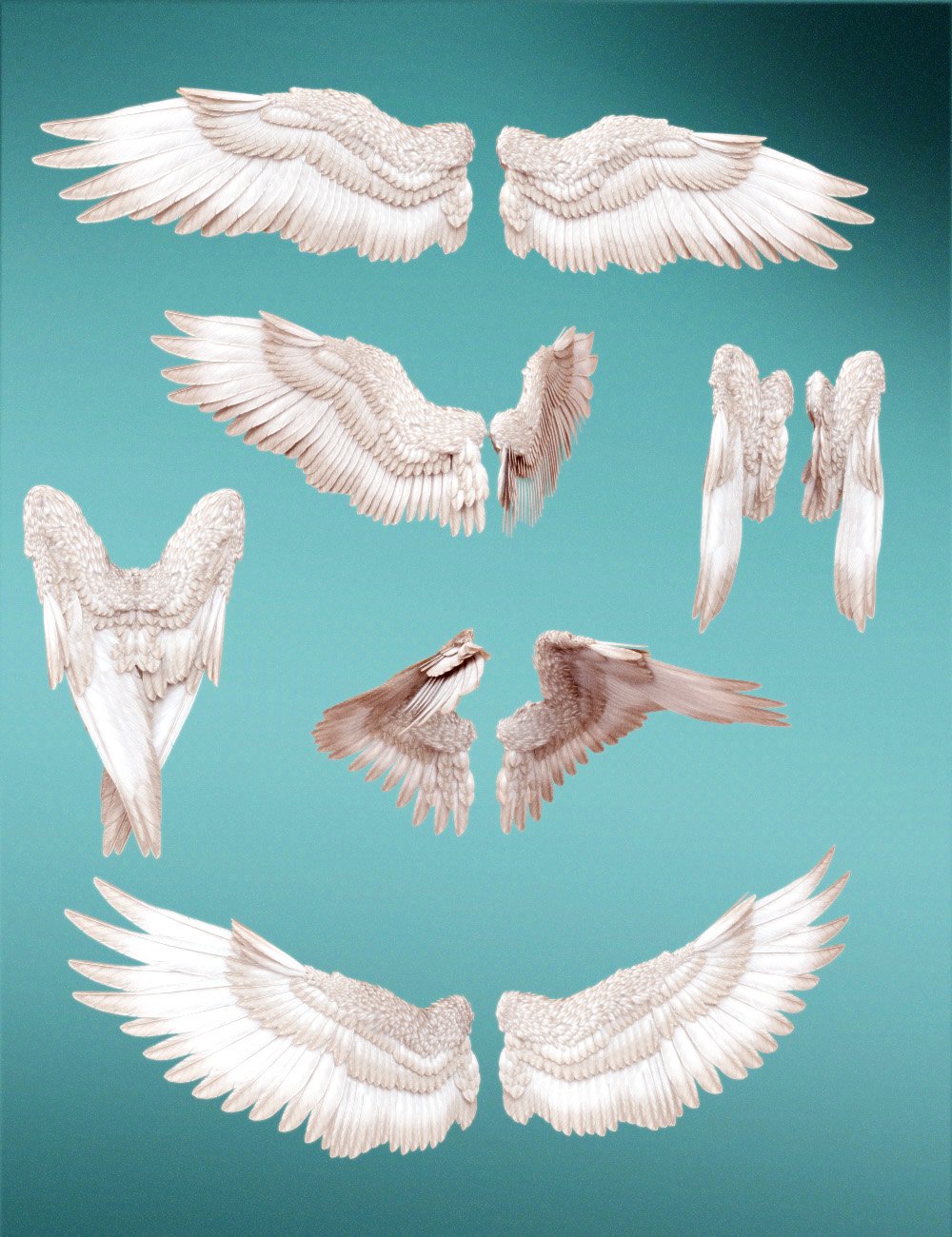 Feathered Wings for All | Daz 3D