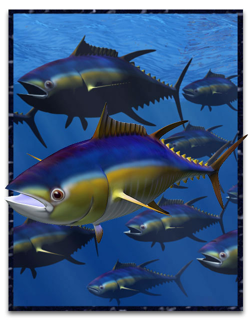 Tuna Fish by: , 3D Models by Daz 3D