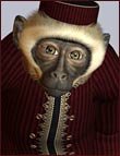 Hurdy Gurdy Man Hurdy Gurdy Man by: MadaSarsaThorne, 3D Models by Daz 3D