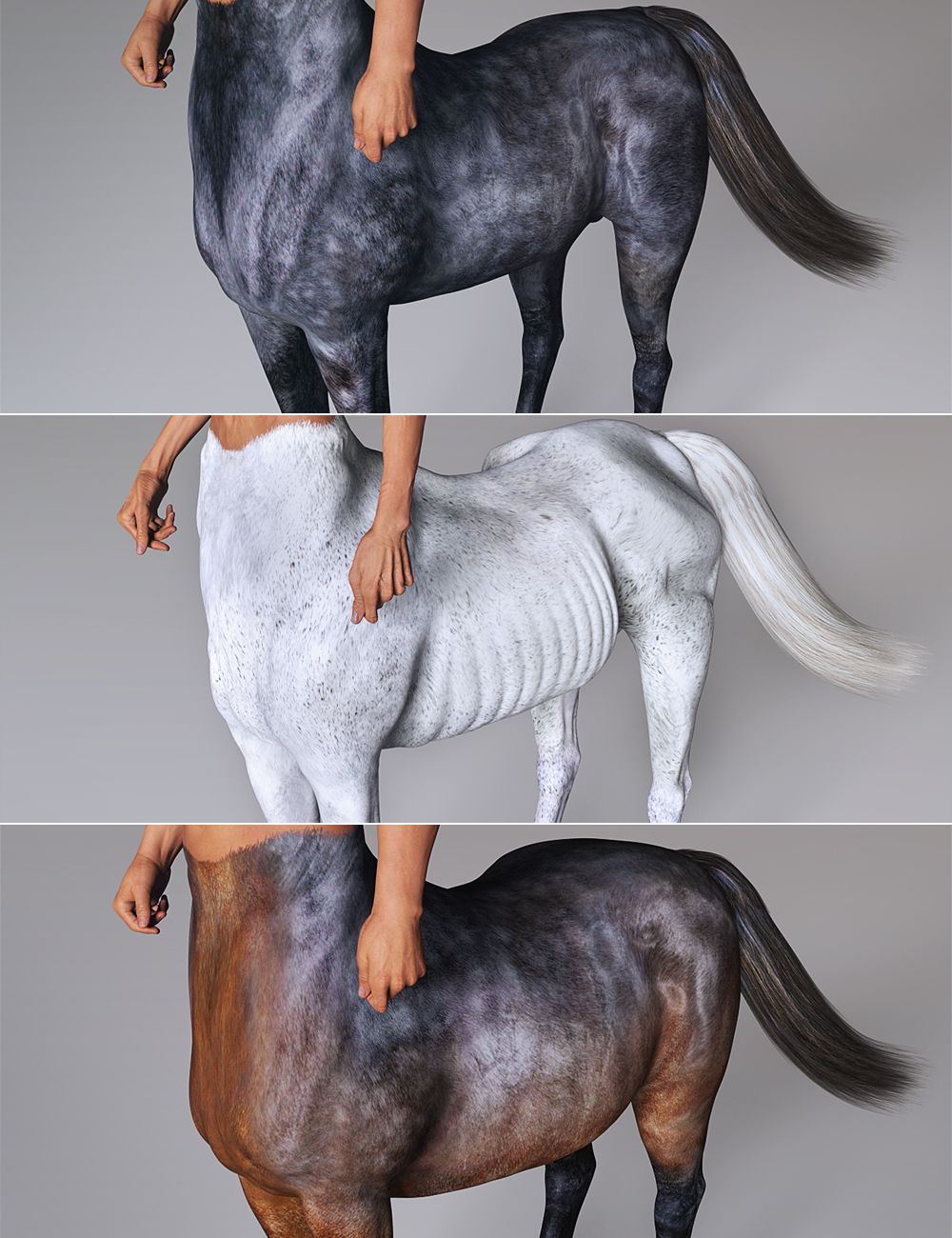 Centaur 7 Male Hides and Breeds by: , 3D Models by Daz 3D