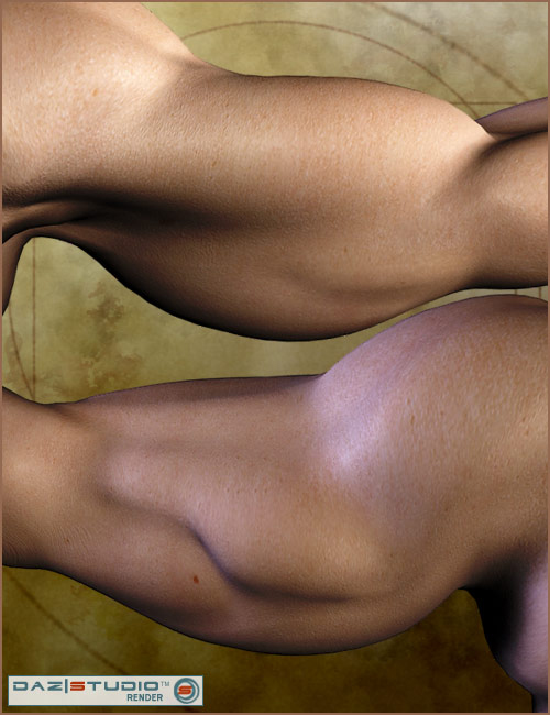 Victoria 4.2 Muscle Morphs by: , 3D Models by Daz 3D