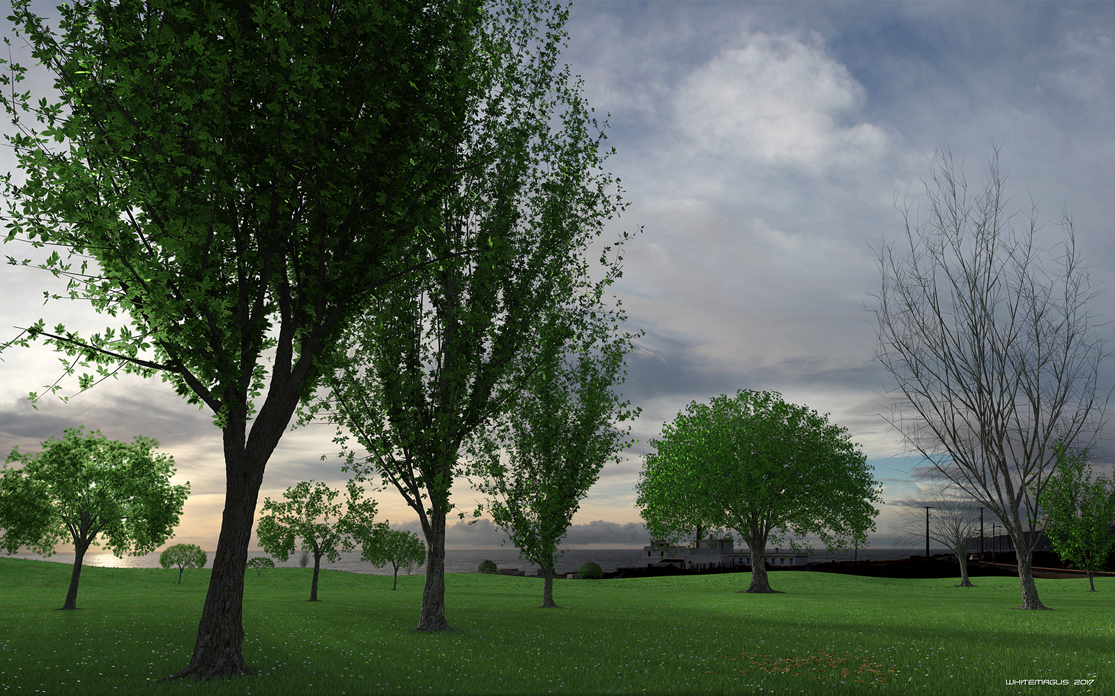 Trees Chestnut Collection by: Whitemagus, 3D Models by Daz 3D