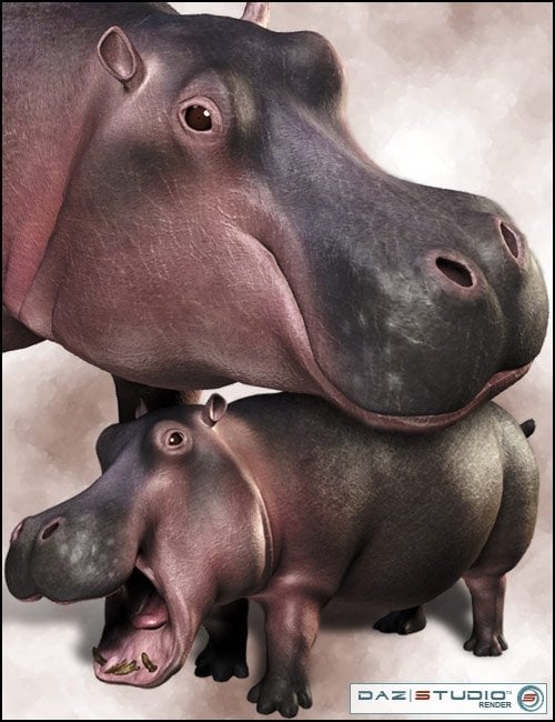 3D Hippo by: , 3D Models by Daz 3D