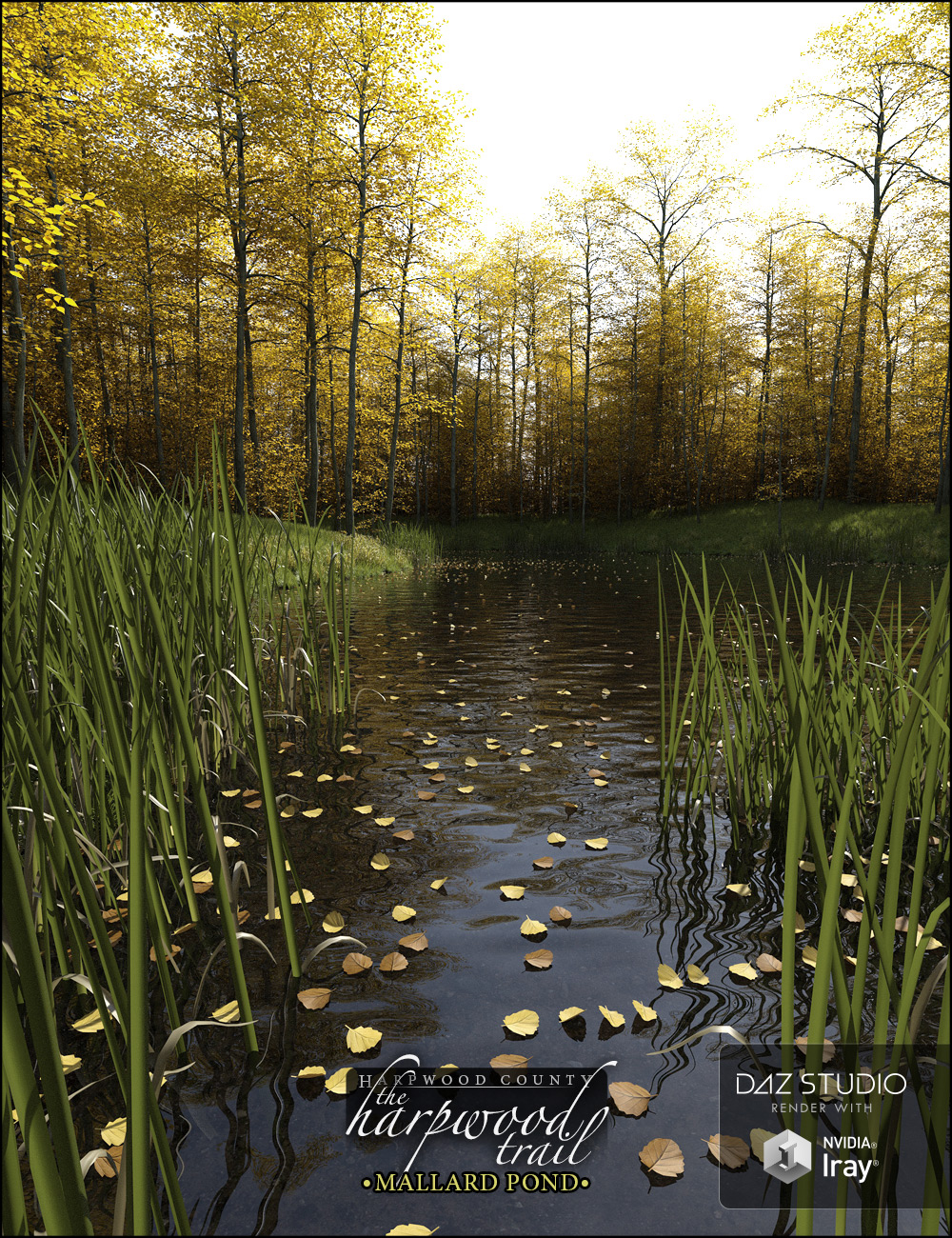 The Harpwood Trail - Mallard Pond by: HowieFarkes, 3D Models by Daz 3D