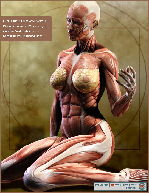Victoria 4 Muscle Maps by: , 3D Models by Daz 3D