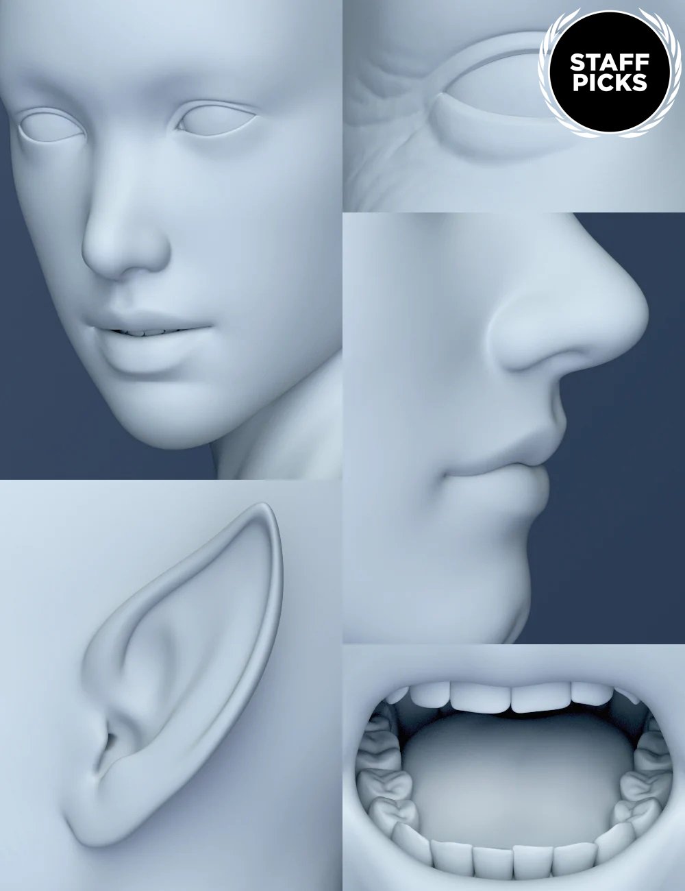 Genesis 8 Female Head Morphs by: , 3D Models by Daz 3D