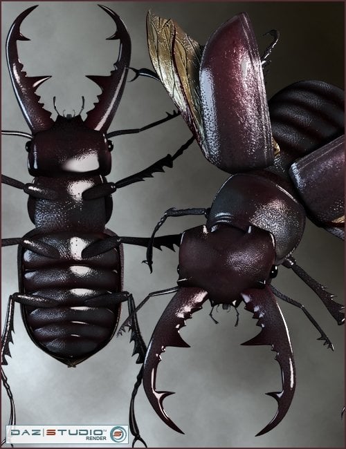 Stag Beetle Stag Beetle by: RavnheartBarbara Brundon, 3D Models by Daz 3D