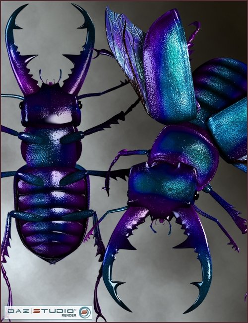 Stag Beetle by: RavnheartBarbara Brundon, 3D Models by Daz 3D