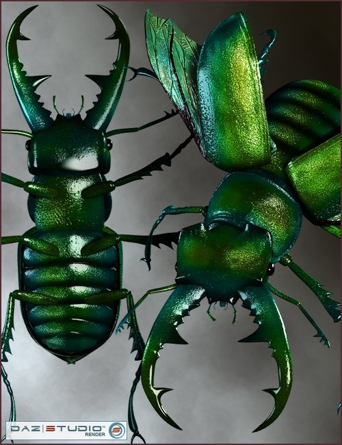 Stag Beetle Stag Beetle by: RavnheartBarbara Brundon, 3D Models by Daz 3D