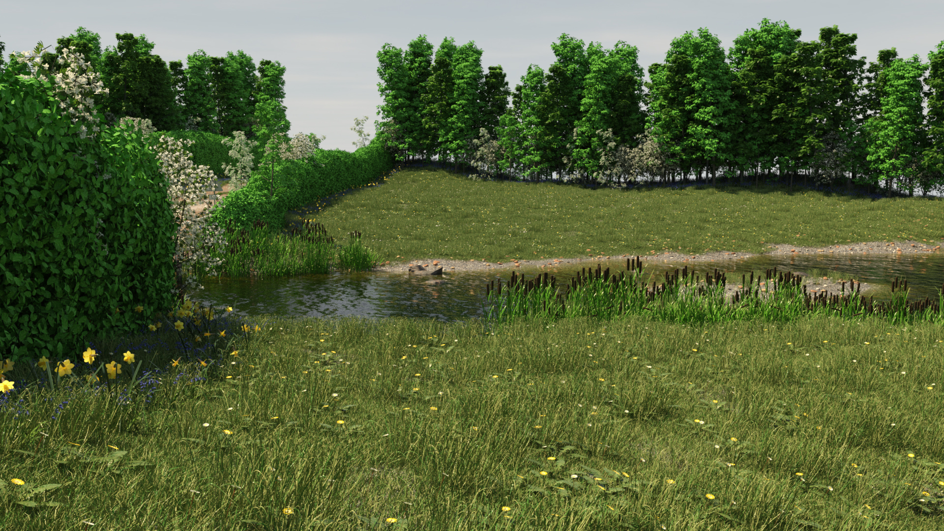 Country Ford for Daz Studio and Carrara Country Ford for Daz Studio and Carrara by: TangoAlpha, 3D Models by Daz 3D
