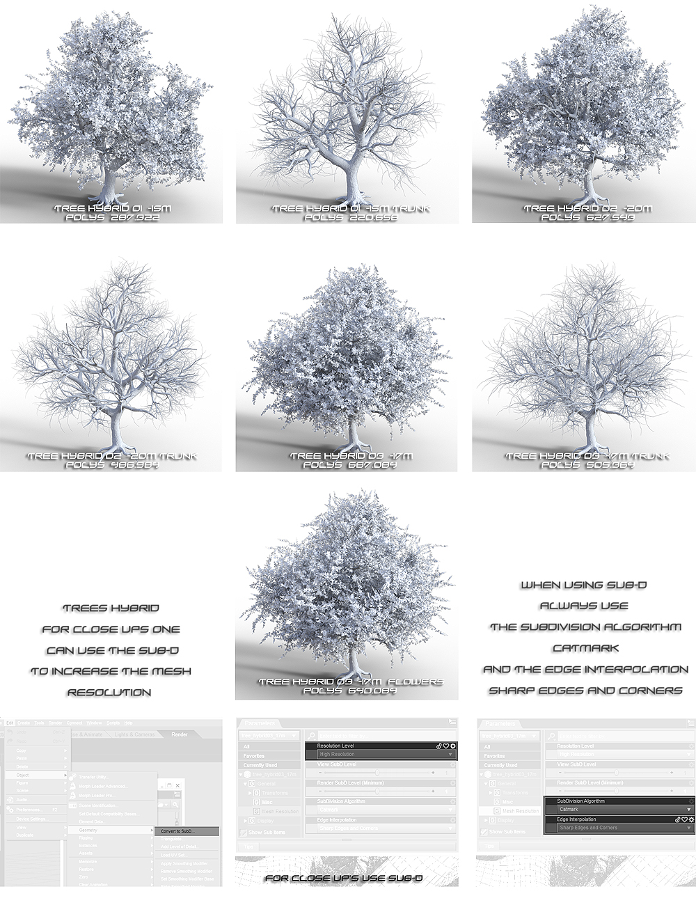 Hybrid Trees by: Whitemagus, 3D Models by Daz 3D