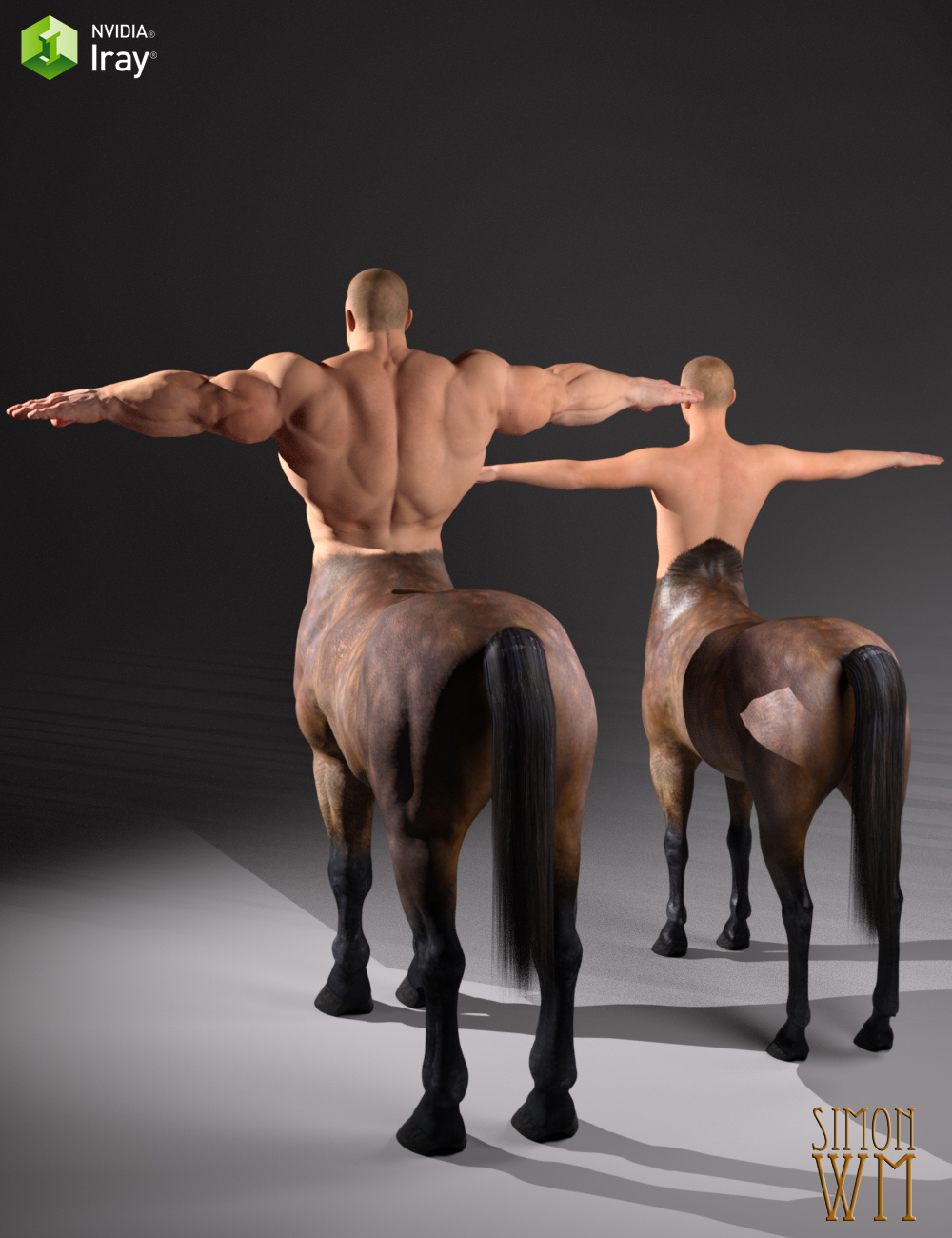 Nessus HD for Centaur 7 Male Nessus HD for Centaur 7 Male by: SimonWM, 3D Models by Daz 3D