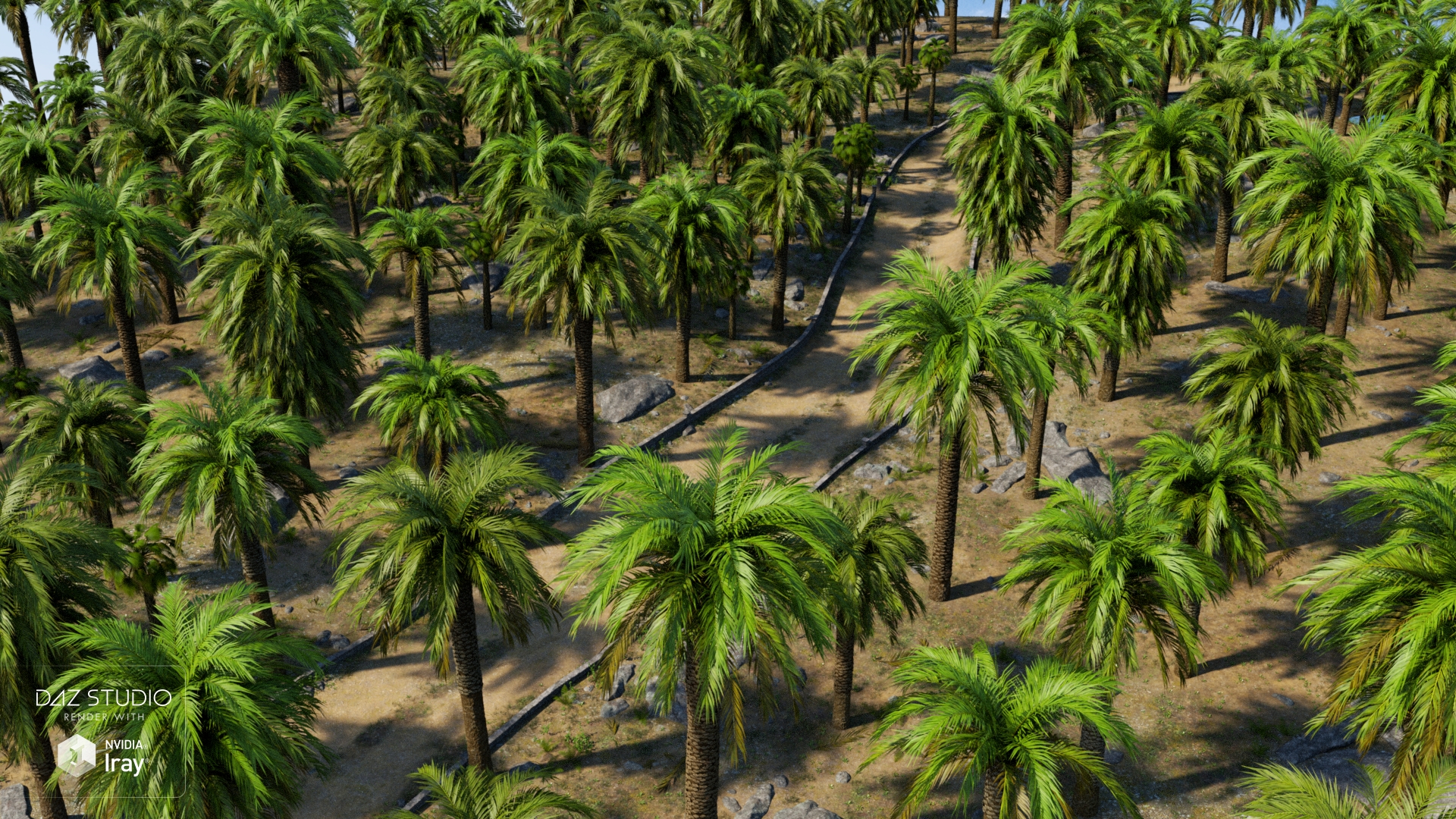Palm Road Palm Road by: Andrey Pestryakov, 3D Models by Daz 3D