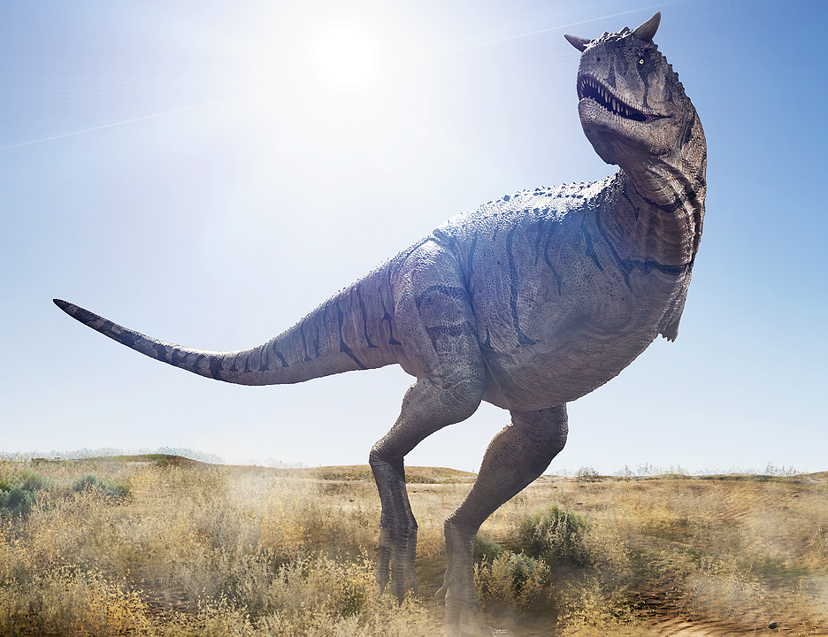 Carnotaurus Sastrei by: Herschel Hoffmeyer, 3D Models by Daz 3D