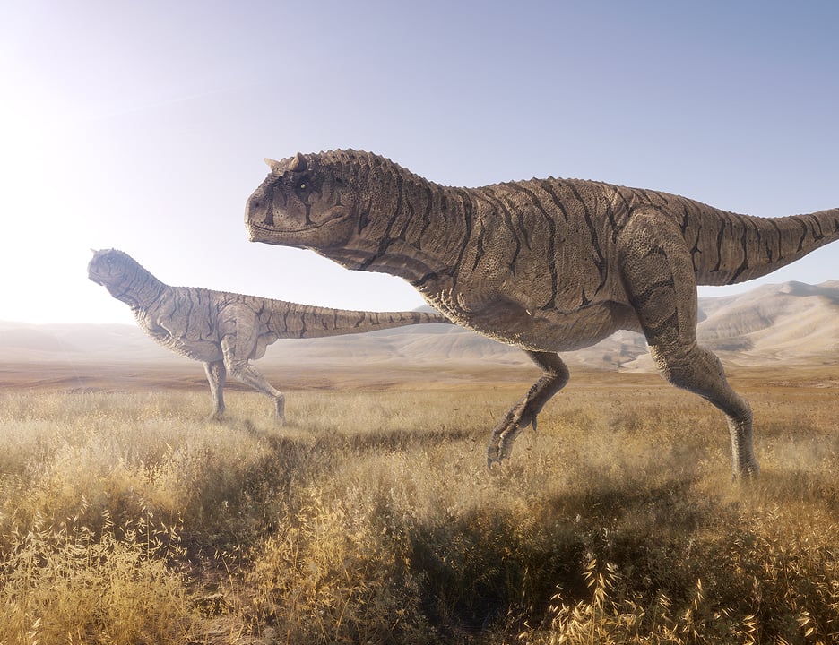 Carnotaurus Sastrei by: Herschel Hoffmeyer, 3D Models by Daz 3D