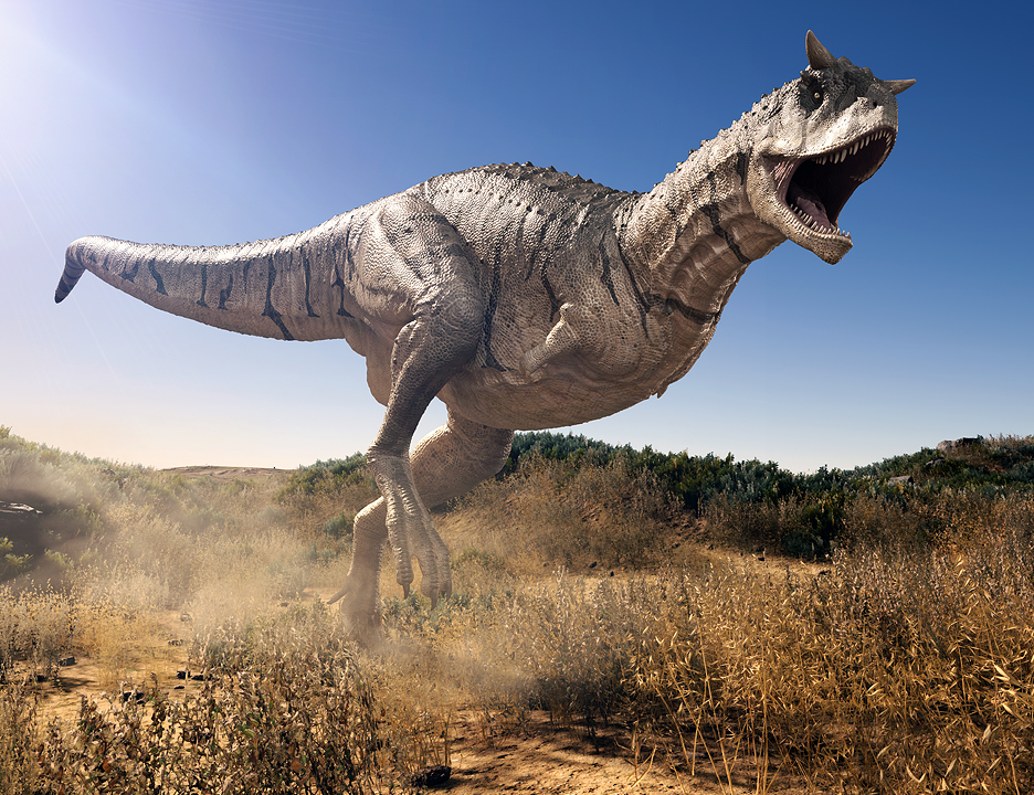 Carnotaurus Sastrei Carnotaurus Sastrei by: Herschel Hoffmeyer, 3D Models by Daz 3D