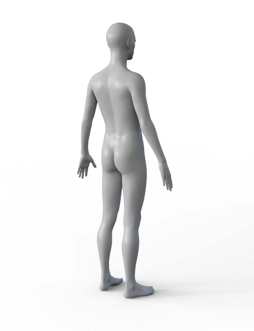 FBX- Base Male Rough Rider FBX- Base Male Rough Rider by: Paleo, 3D Models by Daz 3D