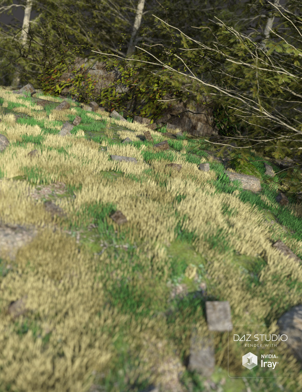 Trail Shelter Trail Shelter by: Code 66, 3D Models by Daz 3D