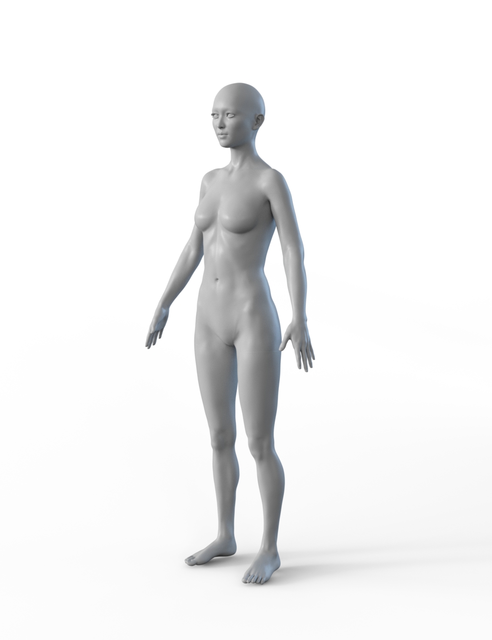 FBX- Mei Lin Vagabond by: Paleo, 3D Models by Daz 3D
