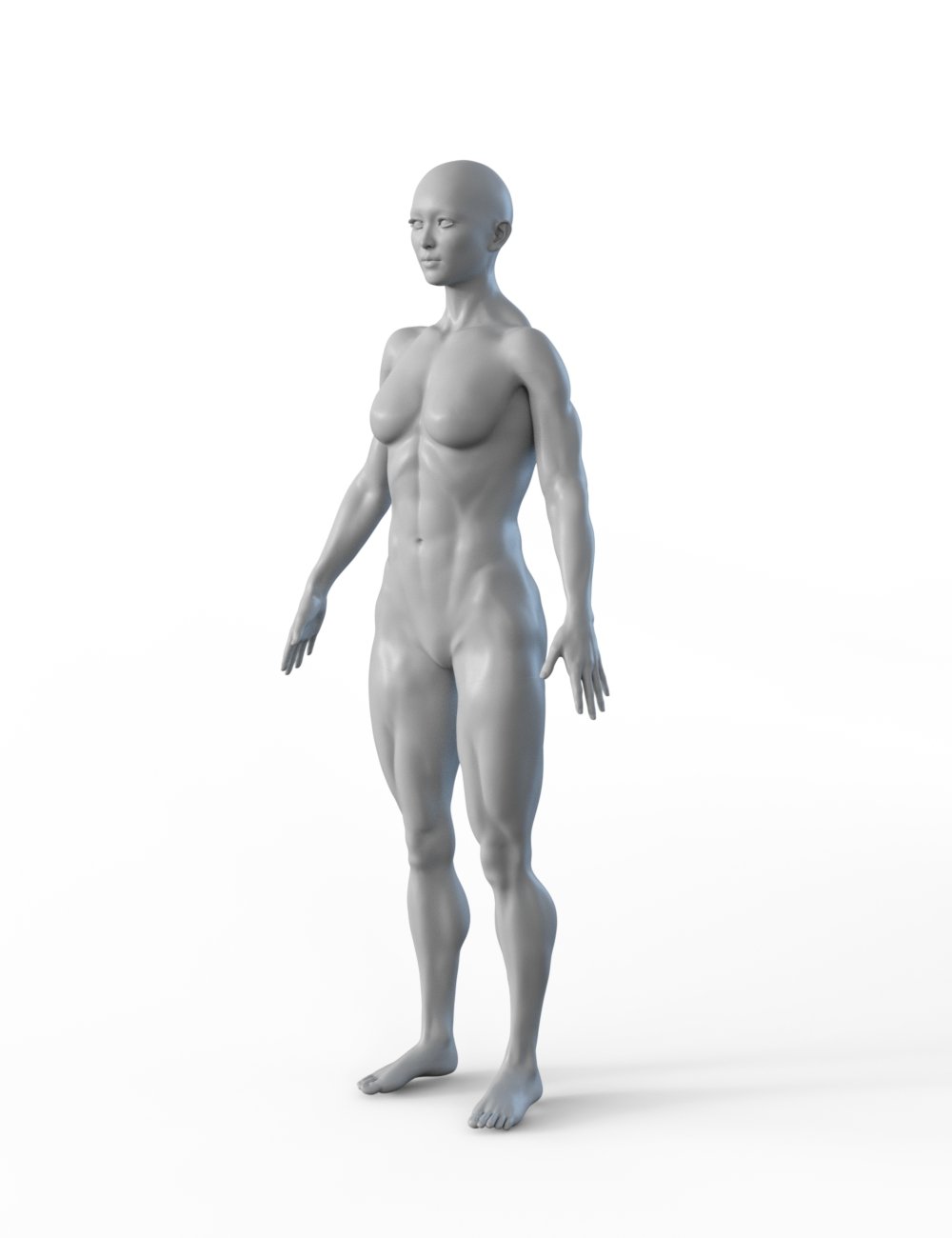 FBX- Mei Lin Vagabond FBX- Mei Lin Vagabond by: Paleo, 3D Models by Daz 3D