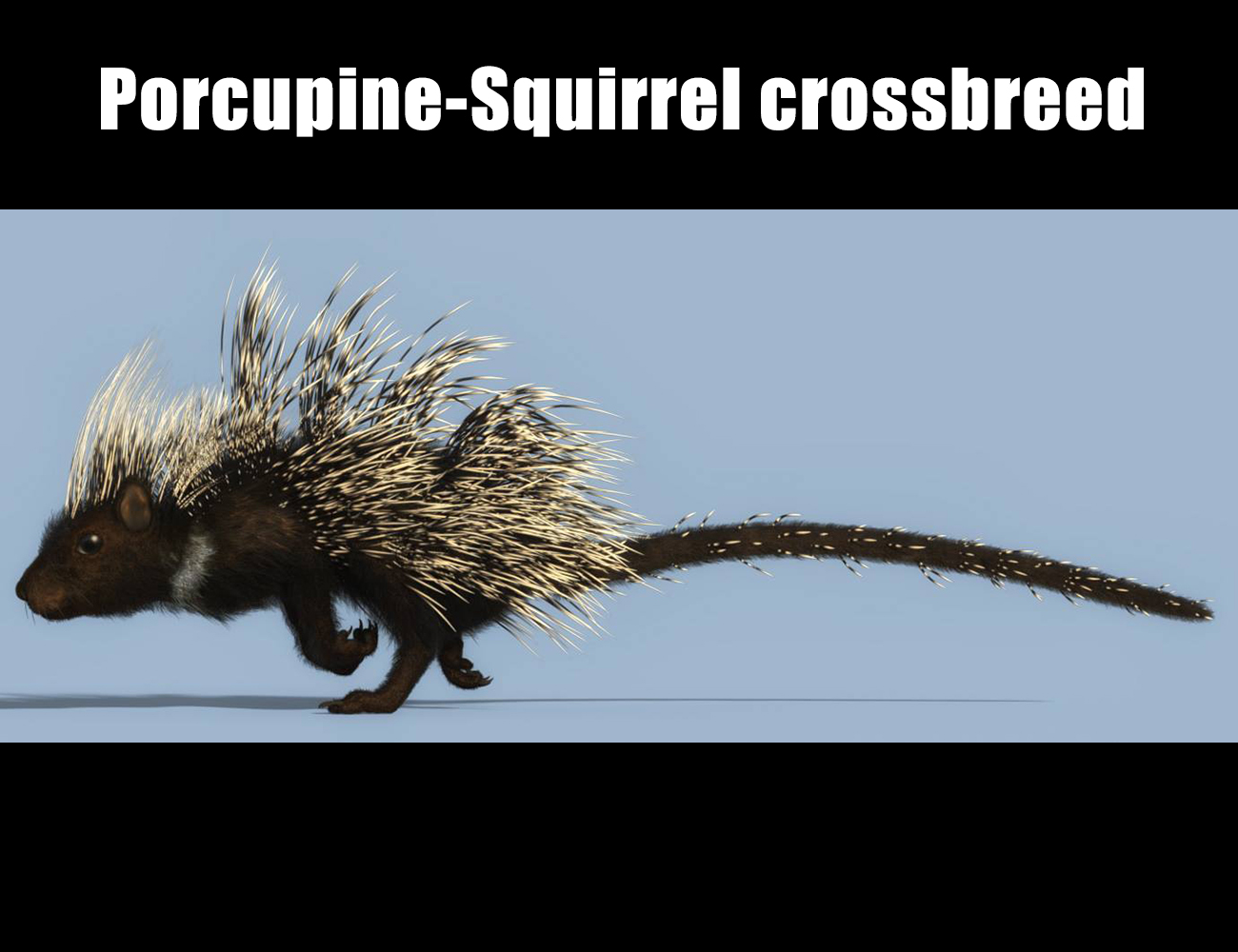 Rodents by AM: Crested Porcupine Rodents by AM: Crested Porcupine by: Alessandro_AM, 3D Models by Daz 3D