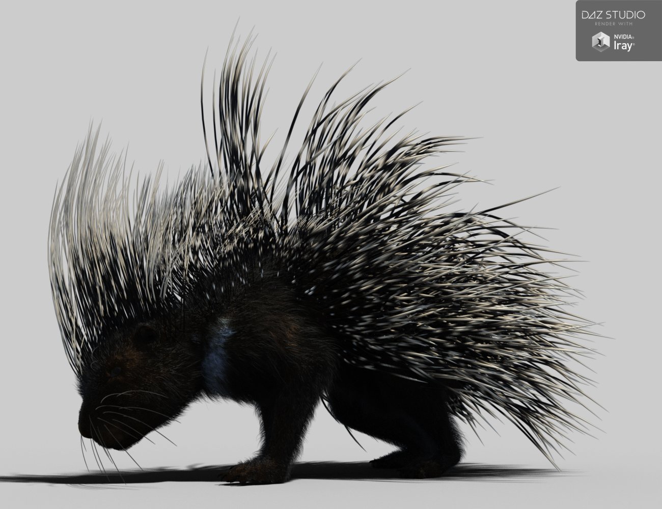 Rodents by AM: Crested Porcupine by: Alessandro_AM, 3D Models by Daz 3D