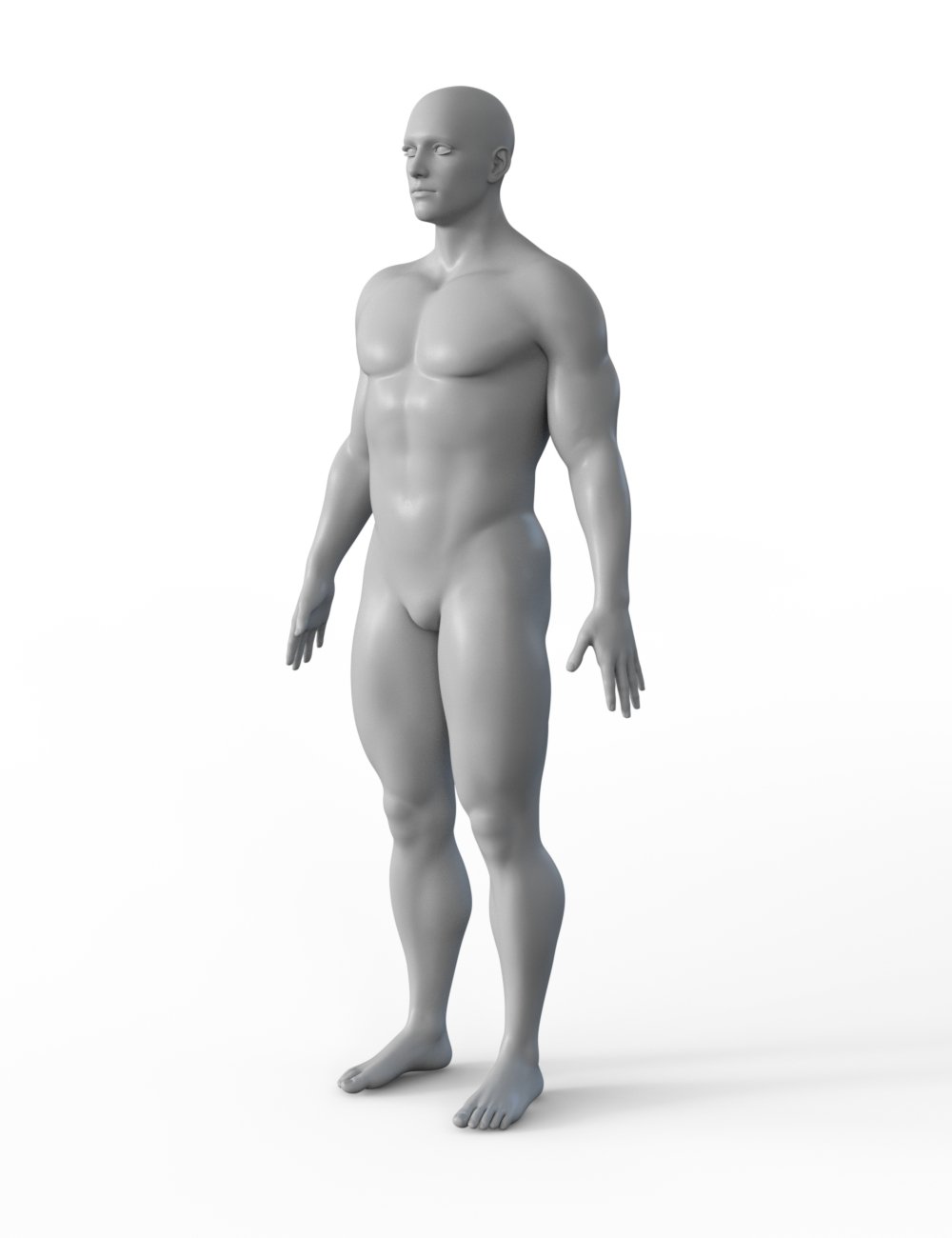 FBX- Base Male Rugby Player FBX- Base Male Rugby Player by: Paleo, 3D Models by Daz 3D