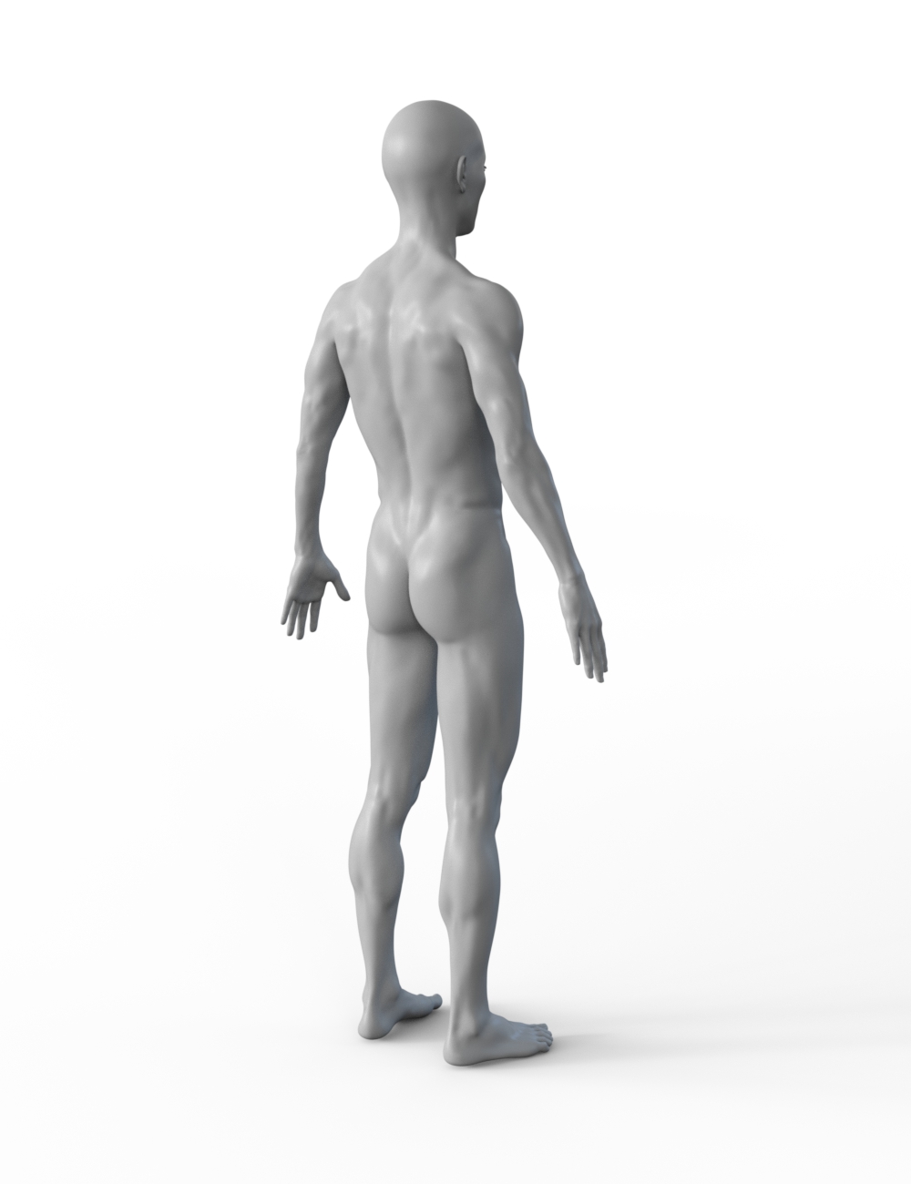 FBX- Lee Male Beach Wear FBX- Lee Male Beach Wear by: Paleo, 3D Models by Daz 3D
