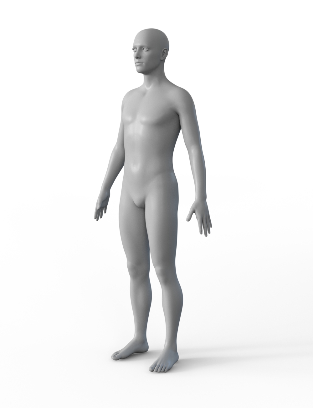 FBX- Base Male Floor Trader FBX- Base Male Floor Trader by: Paleo, 3D Models by Daz 3D