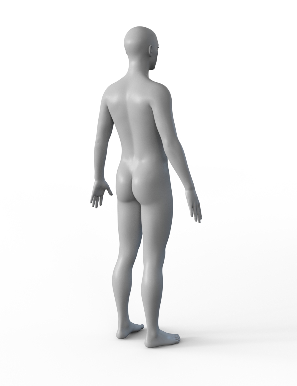 FBX- Base Male Floor Trader FBX- Base Male Floor Trader by: Paleo, 3D Models by Daz 3D