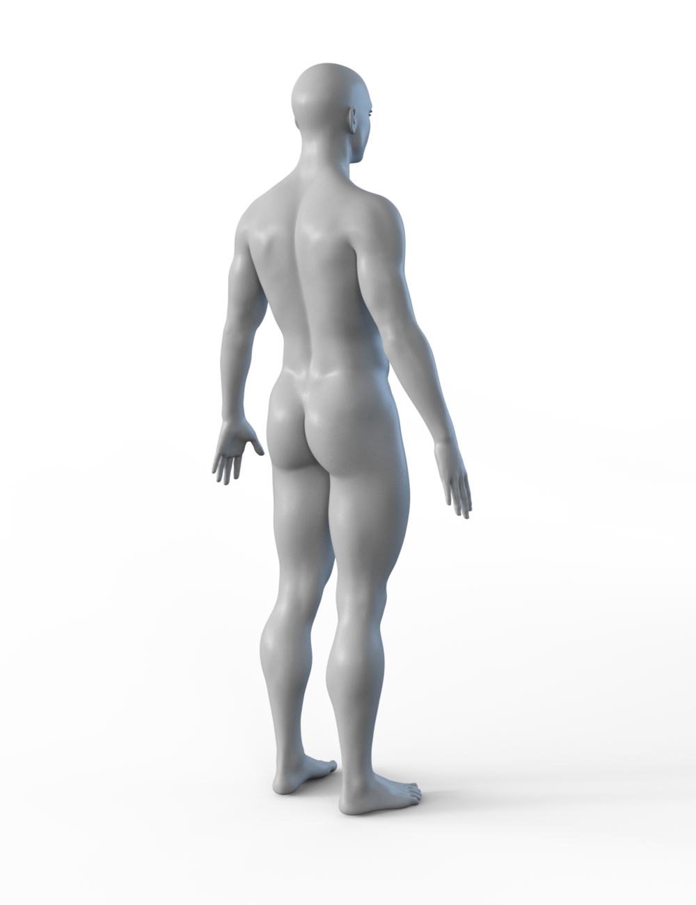 FBX- Dash Floor Trader FBX- Dash Floor Trader by: Paleo, 3D Models by Daz 3D