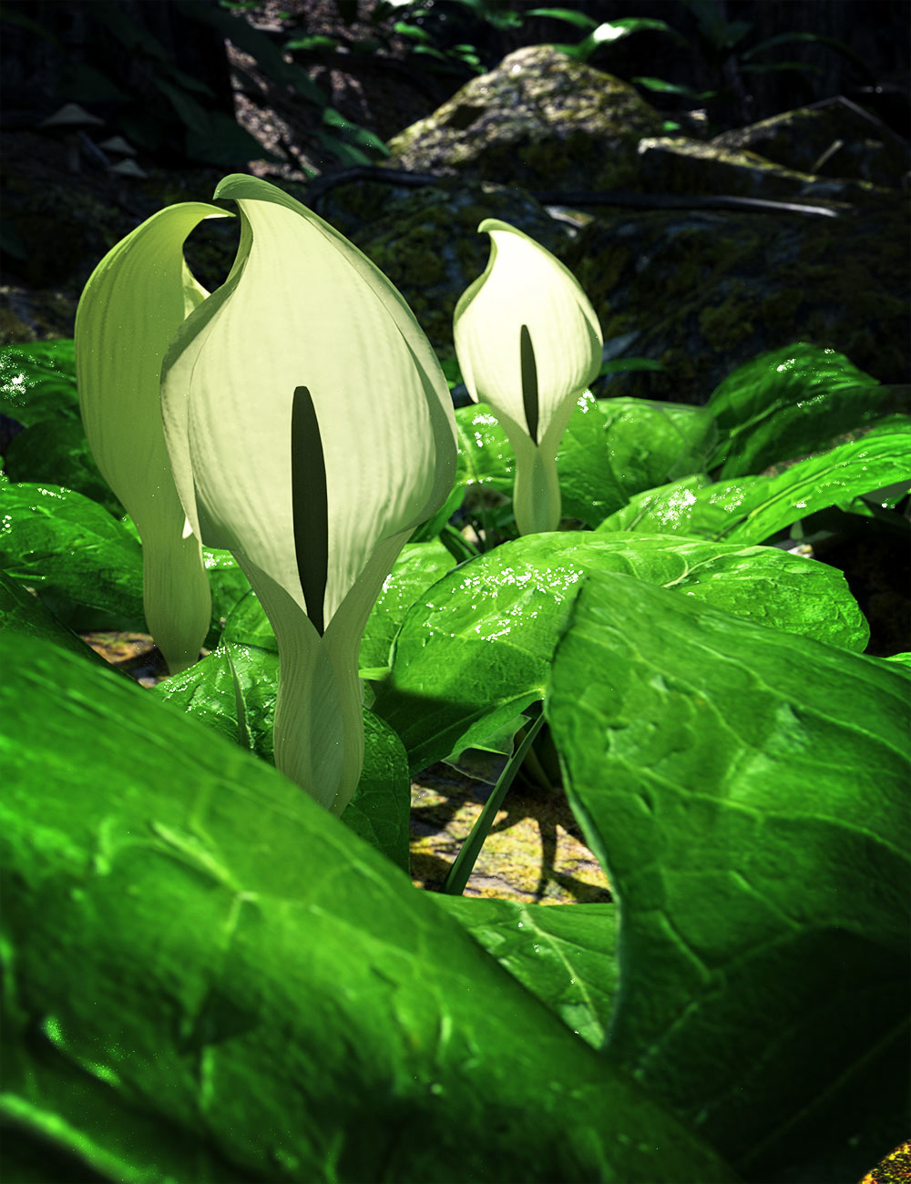Wild Arums - A wild flower bundle for Daz Studio by: MartinJFrost, 3D Models by Daz 3D