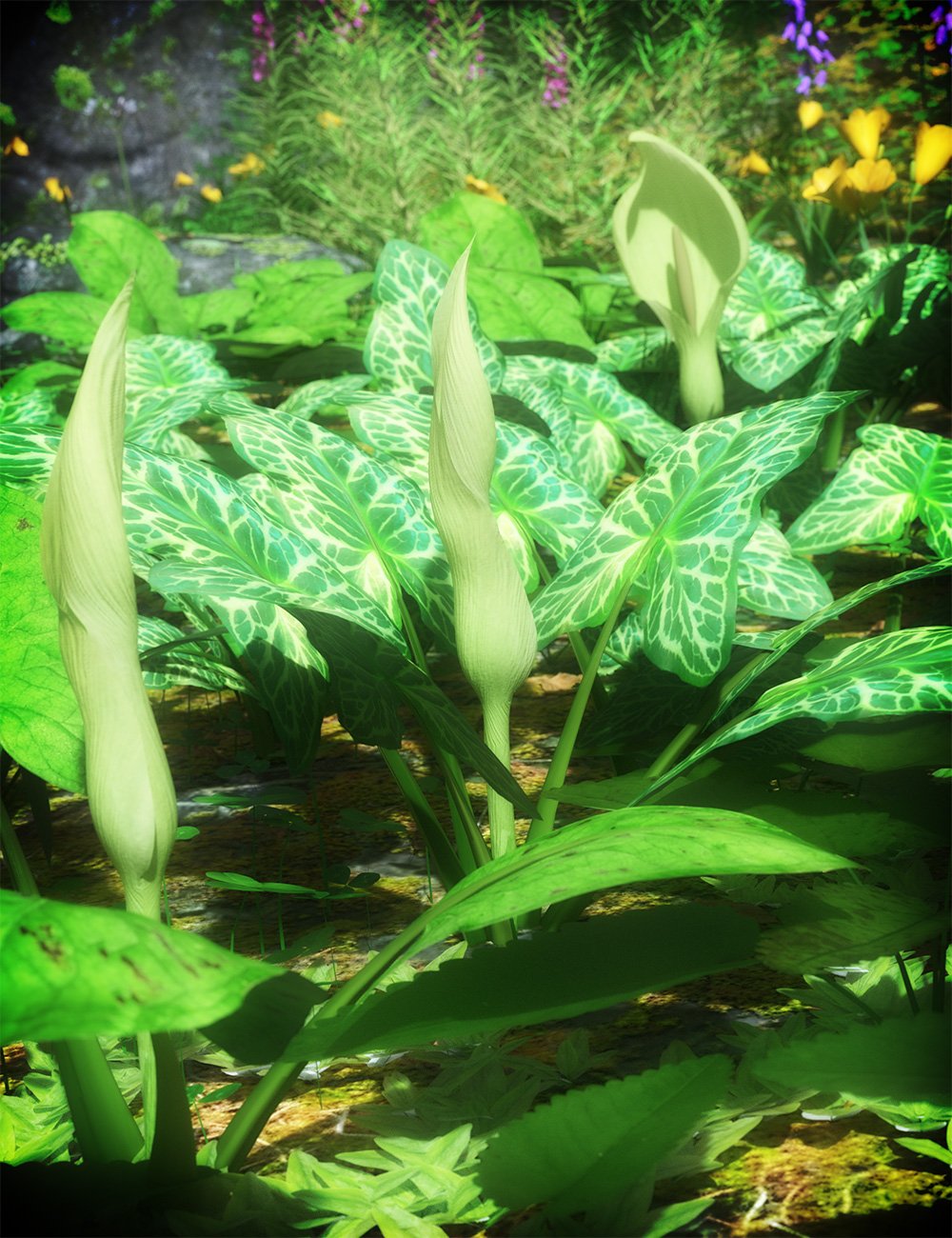 Wild Arums - A wild flower bundle for Daz Studio Wild Arums - A wild flower bundle for Daz Studio by: MartinJFrost, 3D Models by Daz 3D