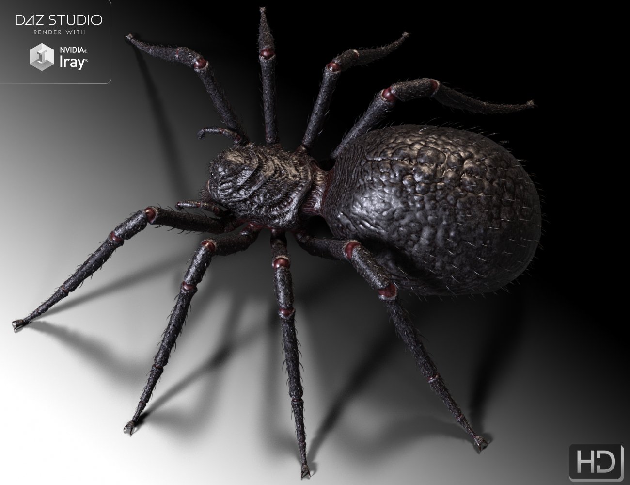 Giant Monster Spider HD Giant Monster Spider HD by: Groovy Patrol, 3D Models by Daz 3D
