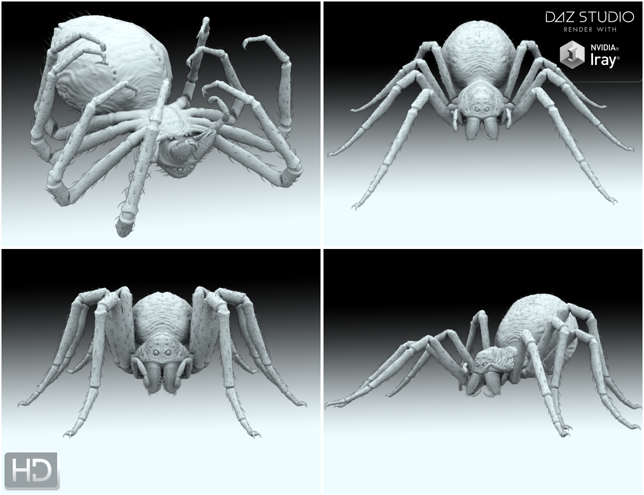 Giant Monster Spider HD by: Groovy Patrol, 3D Models by Daz 3D