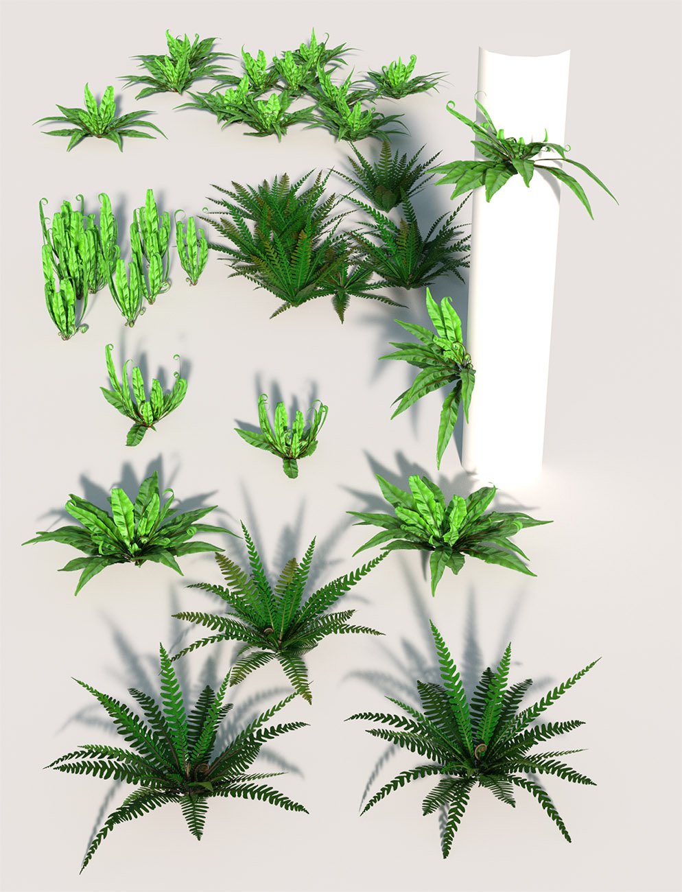 Wild Plants - Wild Ferns Volume 1 Wild Plants - Wild Ferns Volume 1 by: MartinJFrost, 3D Models by Daz 3D