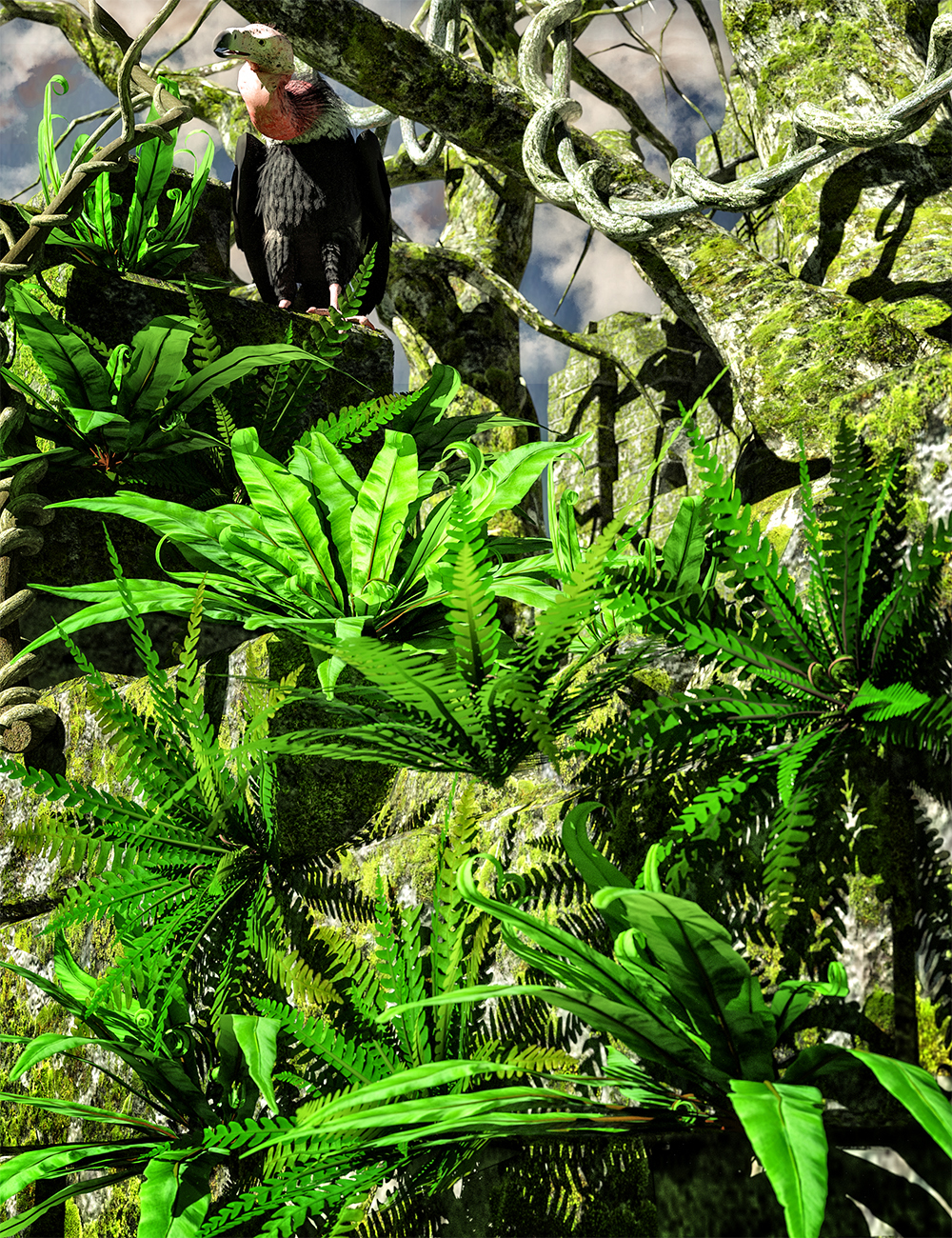 Wild Plants - Wild Ferns Volume 1 by: MartinJFrost, 3D Models by Daz 3D