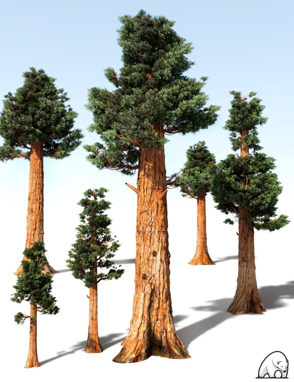 Giant Sequoia by AM by: Alessandro_AM, 3D Models by Daz 3D
