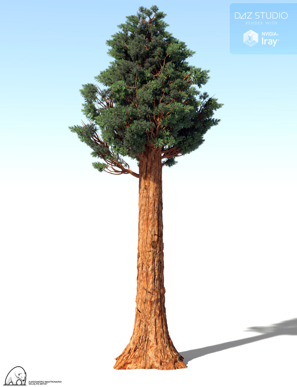 Giant Sequoia by AM by: Alessandro_AM, 3D Models by Daz 3D