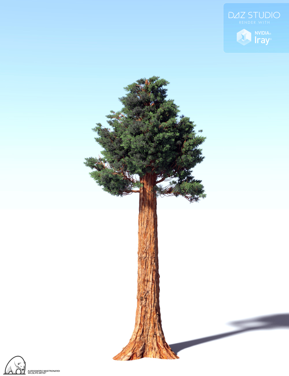 Giant Sequoia by AM | Daz 3D