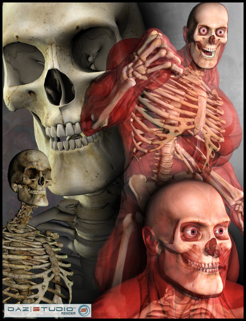 Freak 3 Skeleton by: Sequestrian, 3D Models by Daz 3D