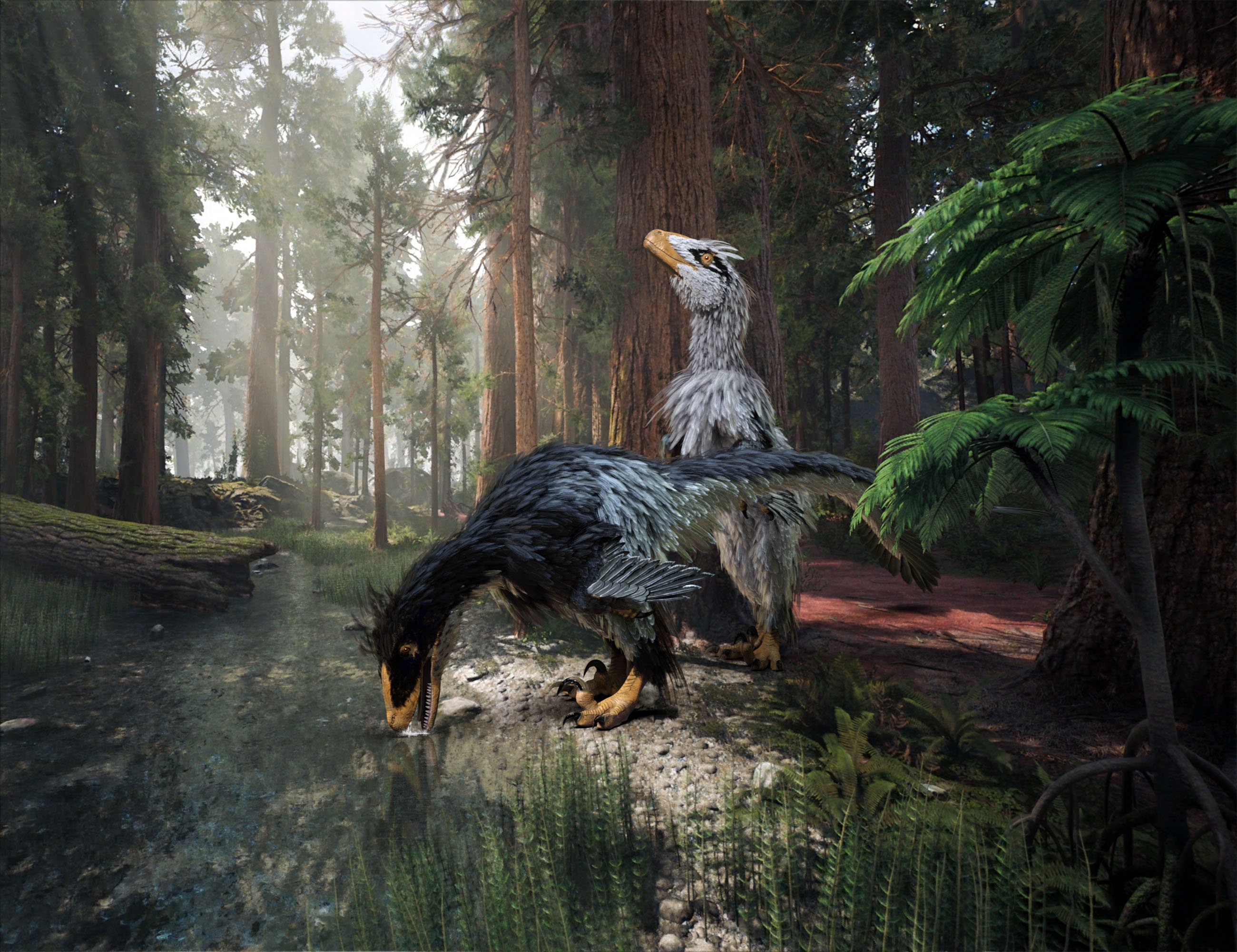 Dinosaurs Series - Feathers Extension for Deinonychus Dinosaurs Series - Feathers Extension for Deinonychus by: Alessandro_AMLMX3D, 3D Models by Daz 3D